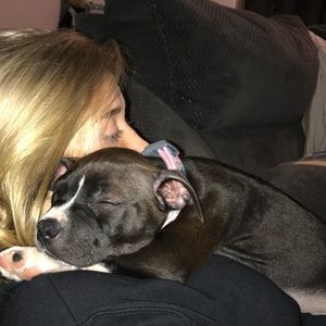 Meet your Posher, Amanda